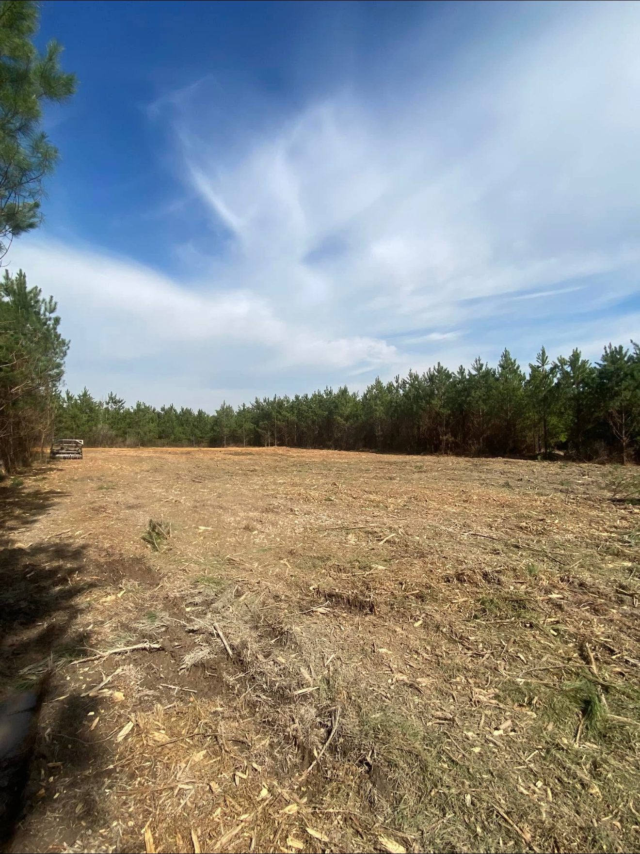 Forestry mulching results in Arkansas